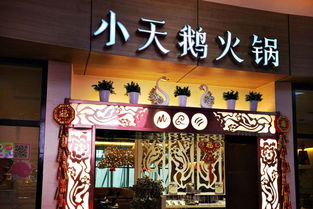 小天鹅火锅加盟 小天鹅火锅加盟怎么样 中国加盟网